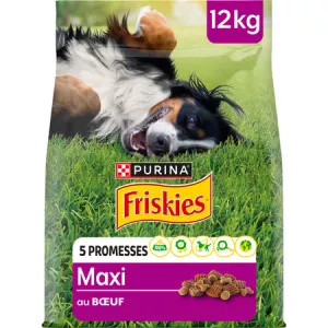 Croquettes Pour Chiens Adulte Au Bœuf 12kg - FRISKIES