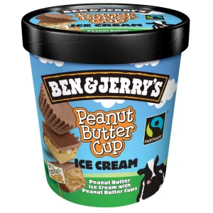 Glace peanut butter's 444g - BEN JERRY'S