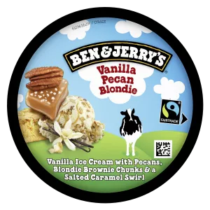 آيس كريم بالفانيليا وجوز البقان والبلوندي والكراميل المملح Vanilla Pecan Blondie 414 g - BEN & JERRY'S