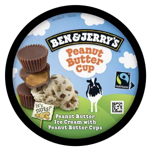 Glasse al burro di arachidi 425g - BEN & JERRY'S