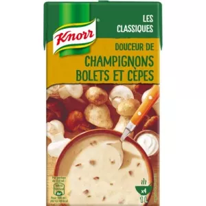 Vloeibare soep van paddestoelenboleet en eekhoorntjesbrood 1l - KNORR