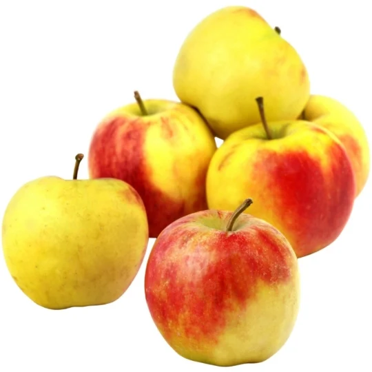 Pommes Elstar en vrac, au kg