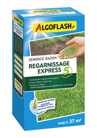Semence Gazon Regarnissage Express 800g - ALGOFLASH