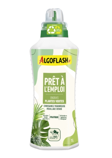 Eng Pae Verte Uab 1l