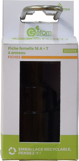 Fiche Femelle 16a T A Anneau B