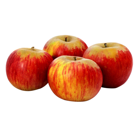 Pomme Reine Reinette Kg