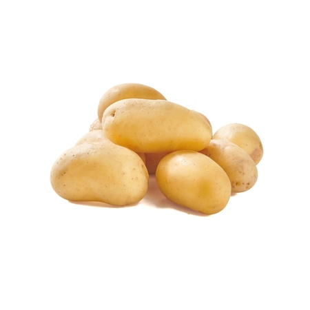 St 1kg Pdt Ratte Fr