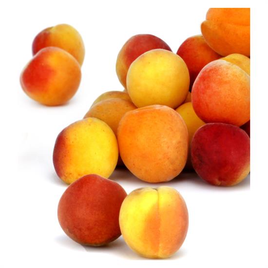 Plt 5kg Abricot Confiture Fr