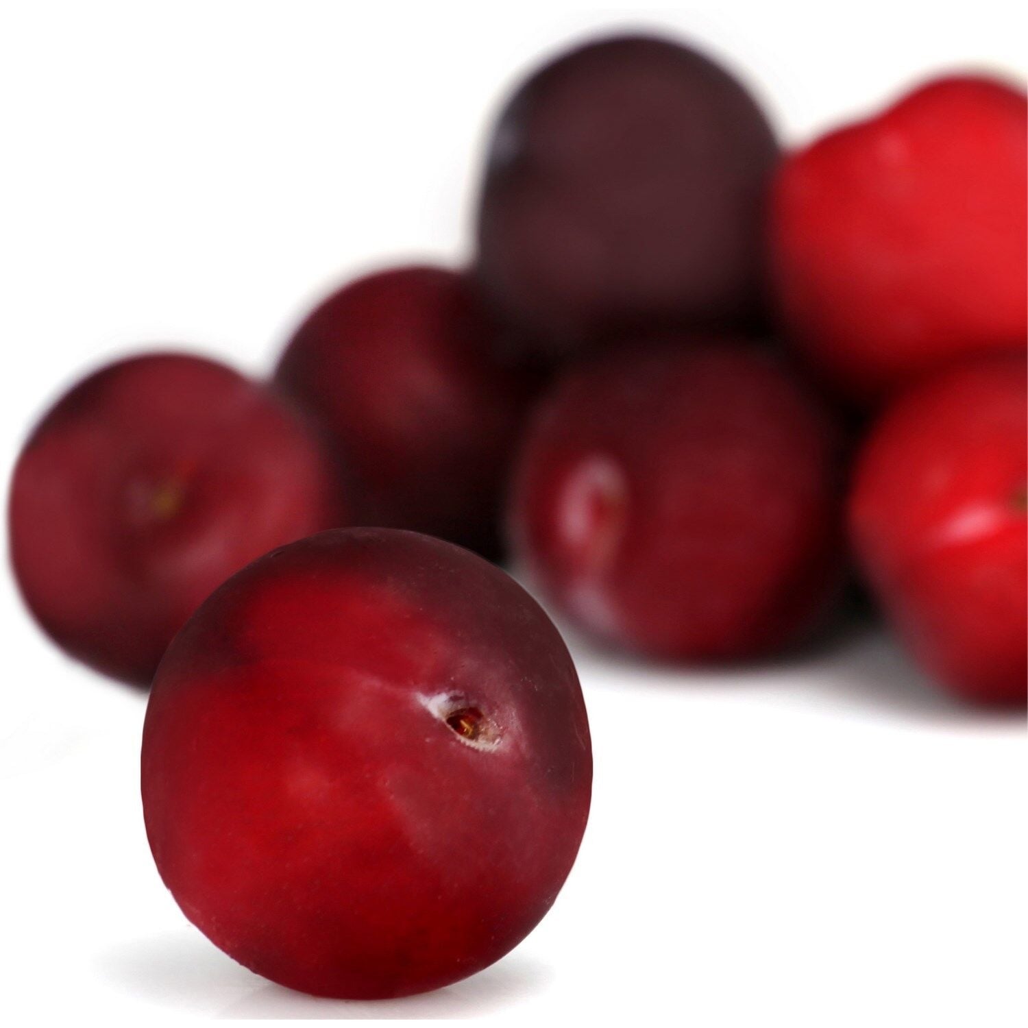 Prunes rouges bio barquette 500 g
