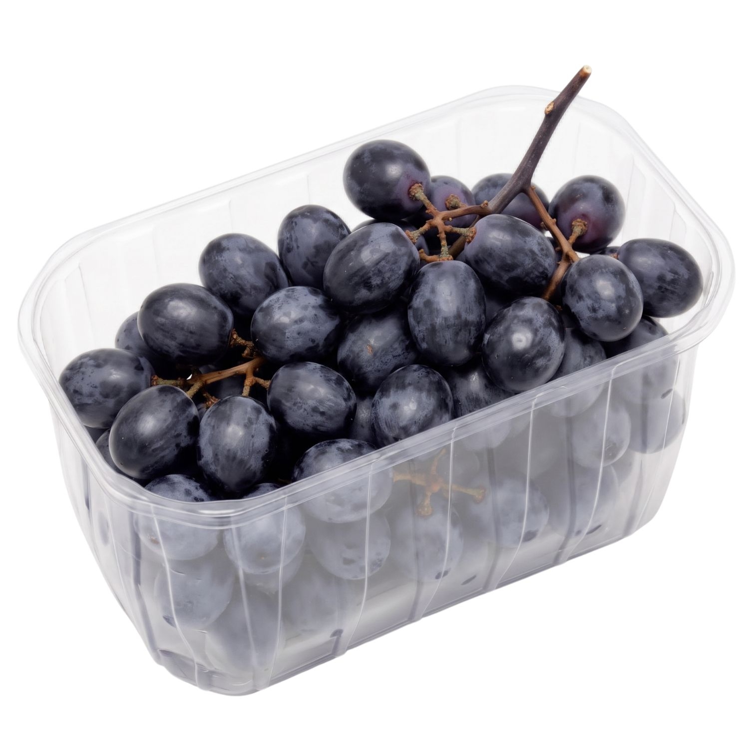 Raisin noir bio, barquette de 500 g, origine France