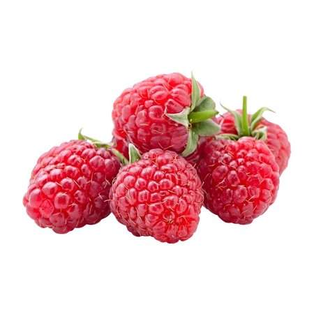 Bq 125g Framboise Bio Cee