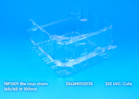 320 Bt C Char 165x165 1bp100y