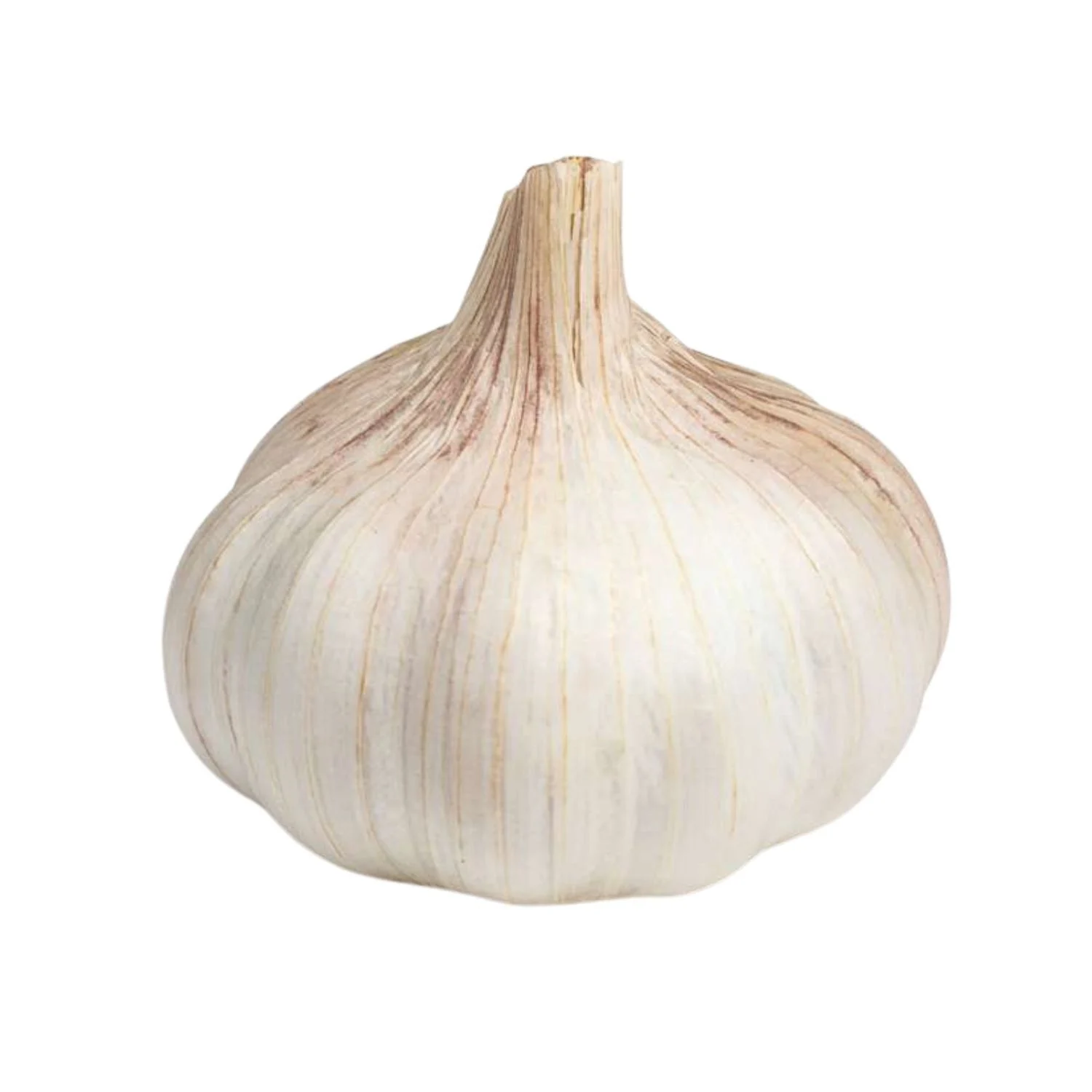 Flt Ail 1 Tete 0 99 Fr