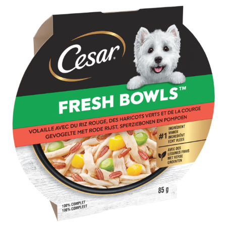 Fresh Bowls volaille riz rouge haricots verts et courge pour chien 85 g - CESAR