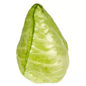Choux Pointus (10 kg)