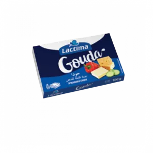 Gouda (6) 100gr Cx20