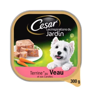Paté di cane di vitello e carote 300g - CÉSAR