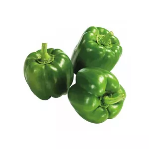 Poivron Vert   Gg  (5 kg)