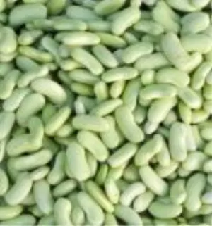 Haricots Chevrier flageolet vert 1kg Legumor