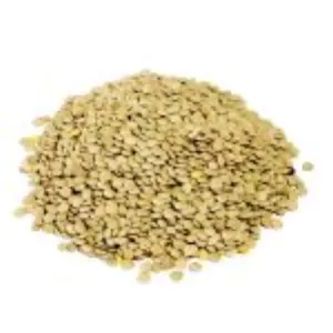 Lentilles Blondes 6mm 1 x 5kg