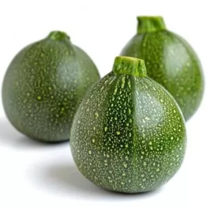 Courgette Ronde  (5 kg)