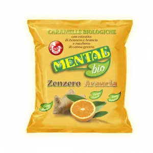 Astucci Bio Zenzero Arancia X 16